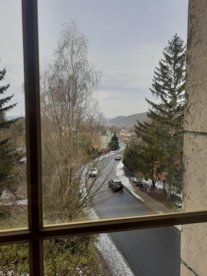 Zimmervermietung Abir Дрезден Екстериор снимка
